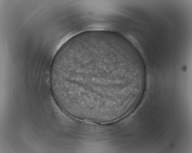 X0000115581465200912011427