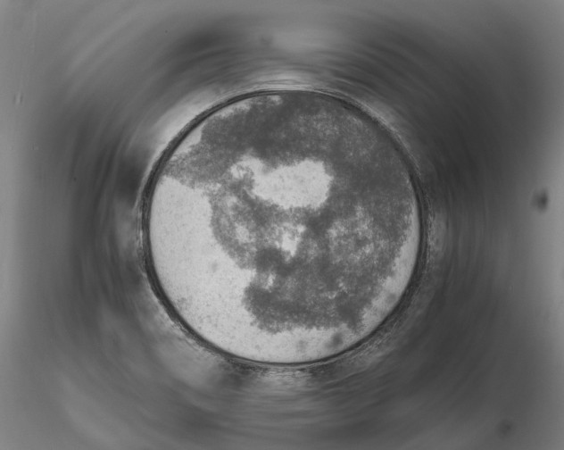 X0000115581466200912011427