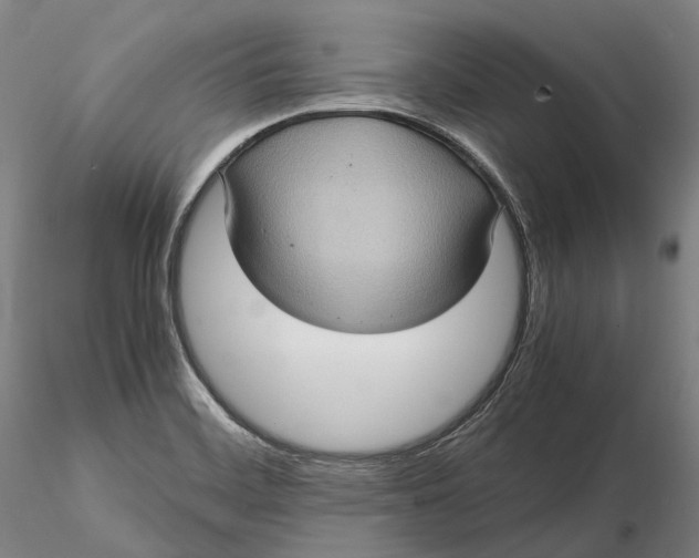 X0000115581468200912011427