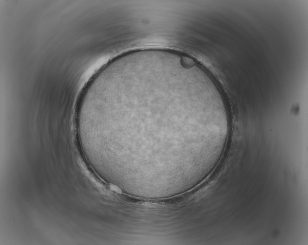 X0000115581469200912011427