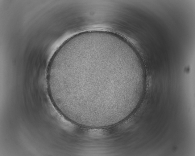 X0000115581470200912011427