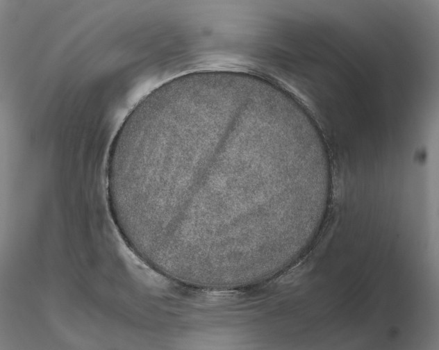 X0000115581471200912011427