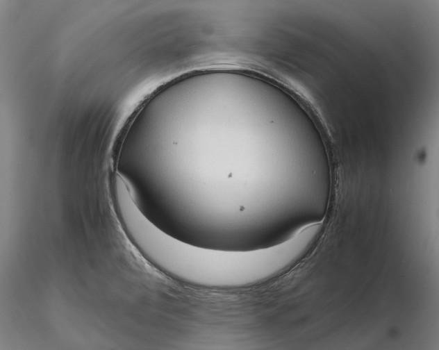 X0000115581472200912011427