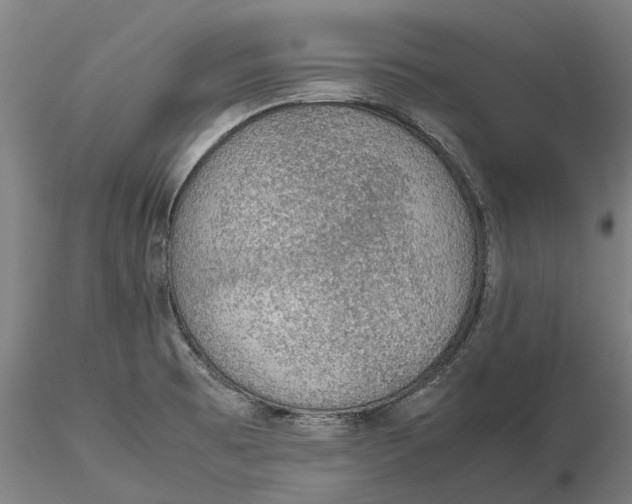 X0000115581473200912011427