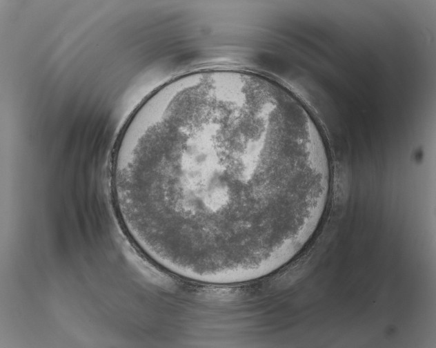 X0000115581474200912011427