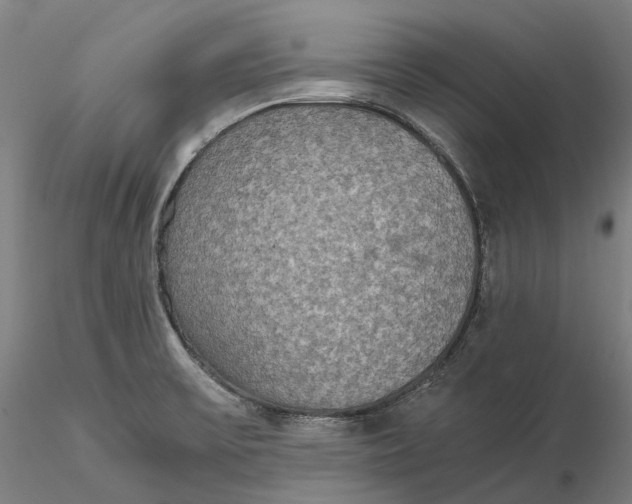 X0000115581475200912011427