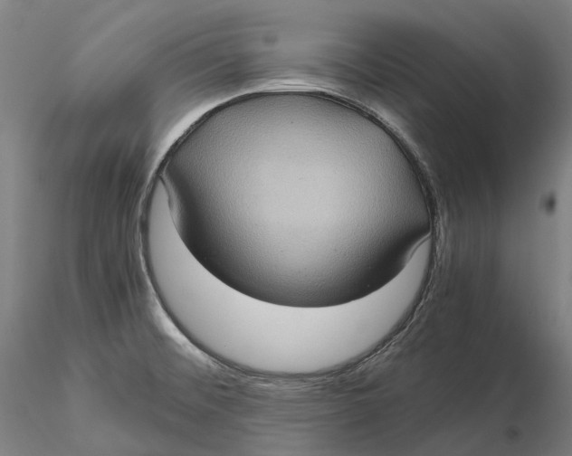 X0000115581476200912011427