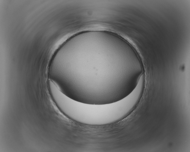 X0000115581477200912011427