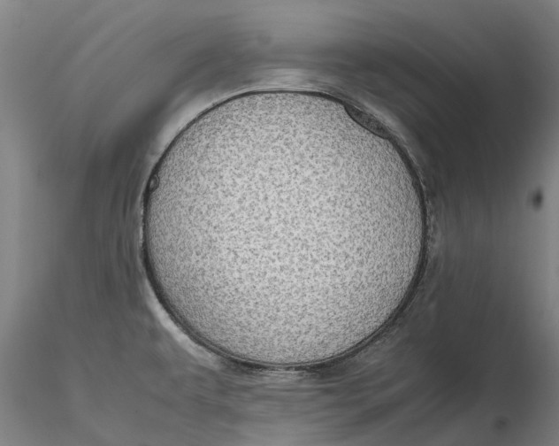 X0000115581479200912011427