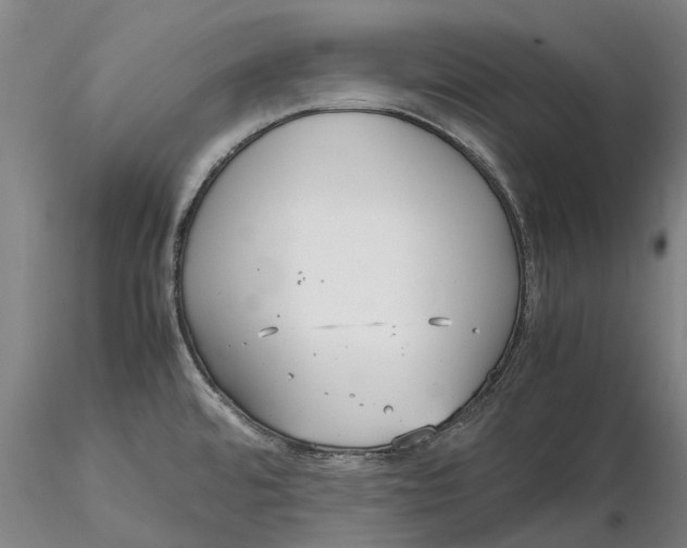 X0000115581480200912011427