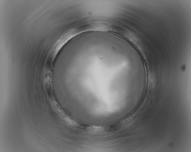 X0000115581481200912011427