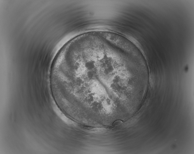 X0000115581482200912011427