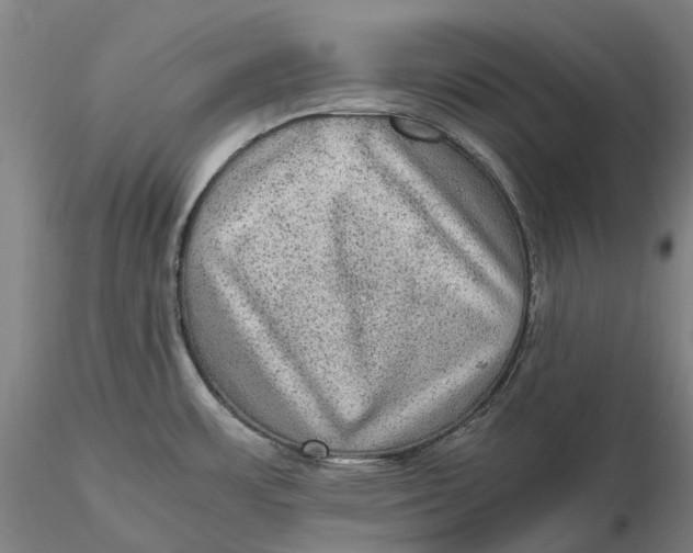 X0000115581483200912011427