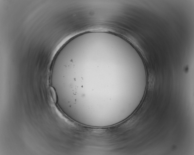 X0000115581484200912011427