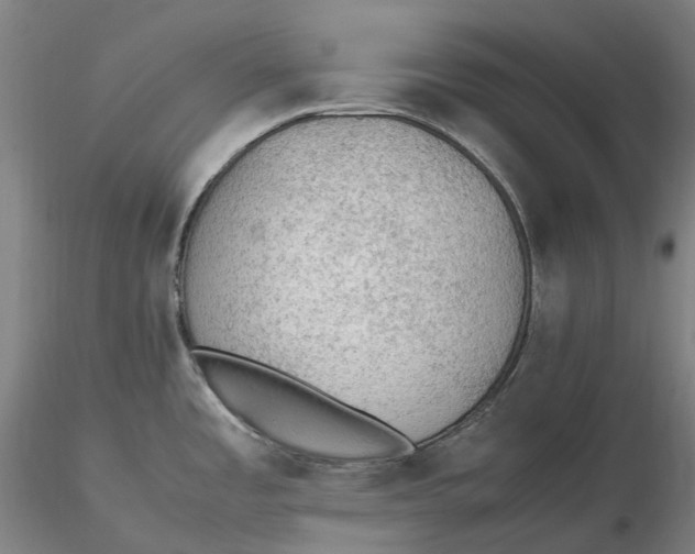 X0000115581485200912011427