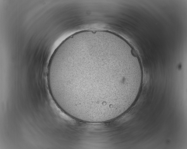 X0000115581486200912011427