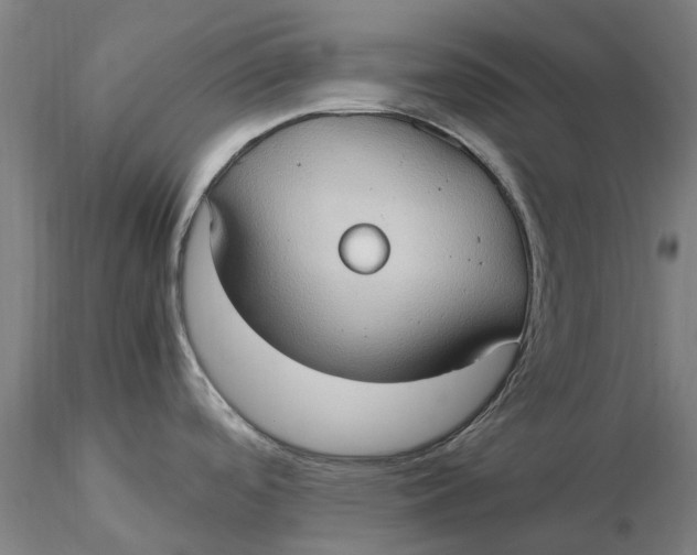 X0000115581488200912011427