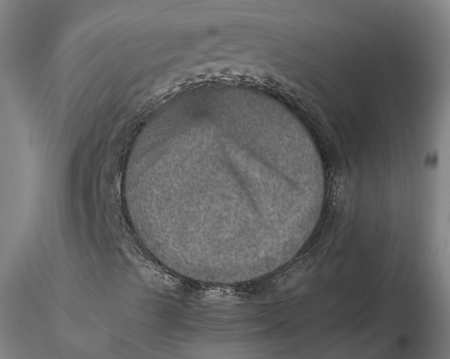 X0000115581489200912011426