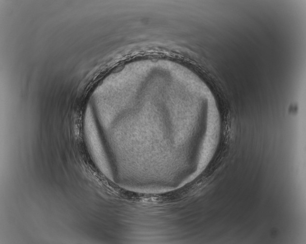 X0000115581490200912011426