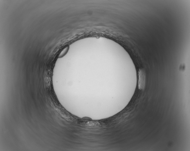 X0000115581491200912011426