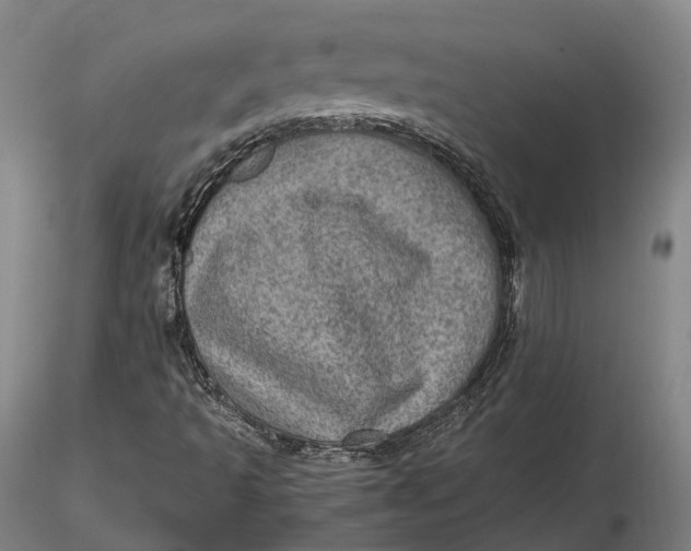 X0000115581493200912011426