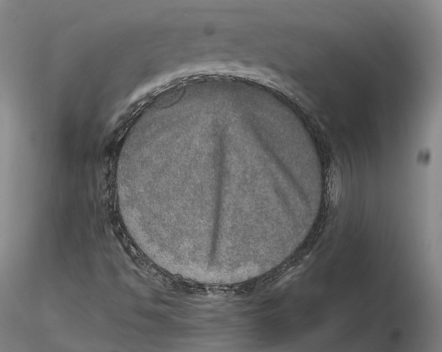 X0000115581494200912011426