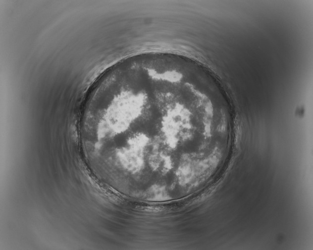 X0000115581497200912011426