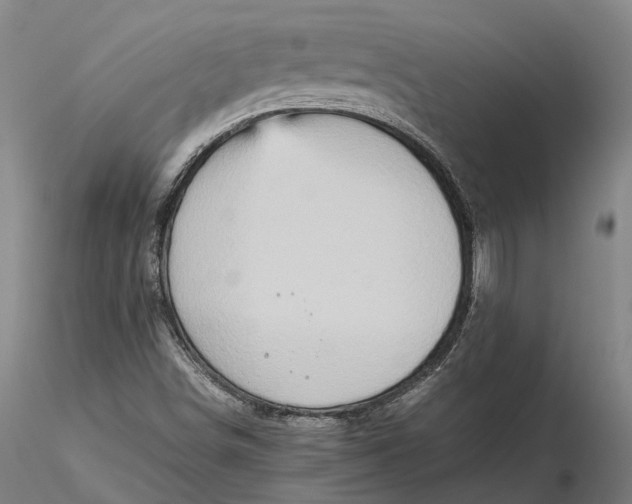 X0000115581498200912011426