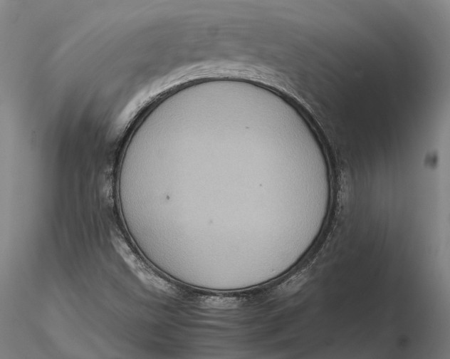 X0000115581499200912011426