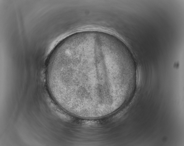 X0000115581501200912011426