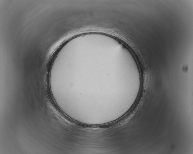 X0000115581502200912011426