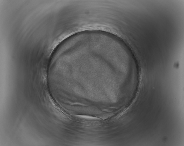 X0000115581505200912011426