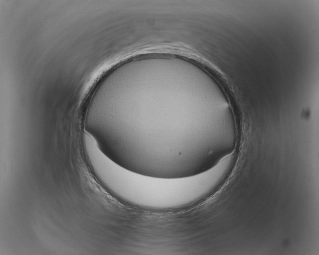 X0000115581506200912011426