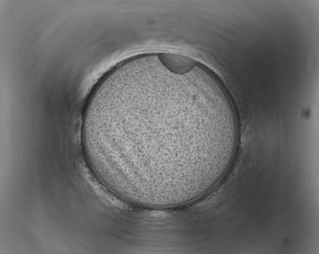 X0000115581507200912011426