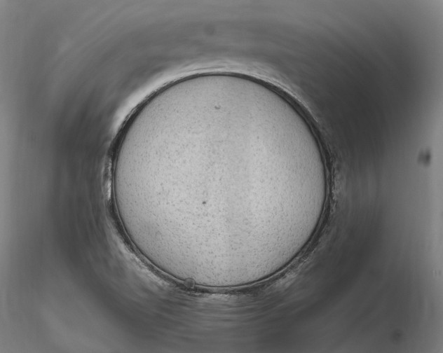 X0000115581510200912011426