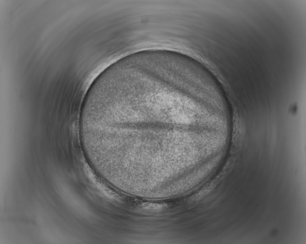 X0000115581513200912011426