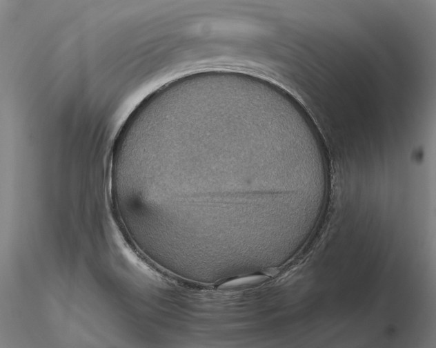 X0000115581515200912011426