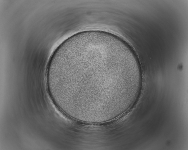 X0000115581517200912011426