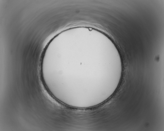 X0000115581518200912011426