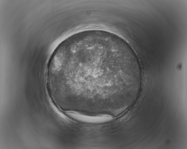 X0000115581519200912011426