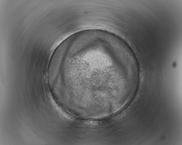 X0000115581521200912011427