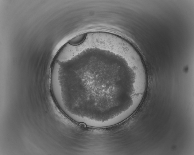 X0000115581522200912011427