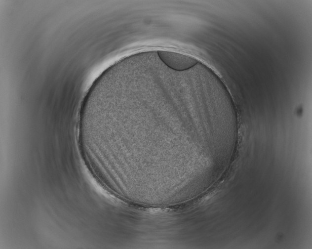 X0000115581523200912011427