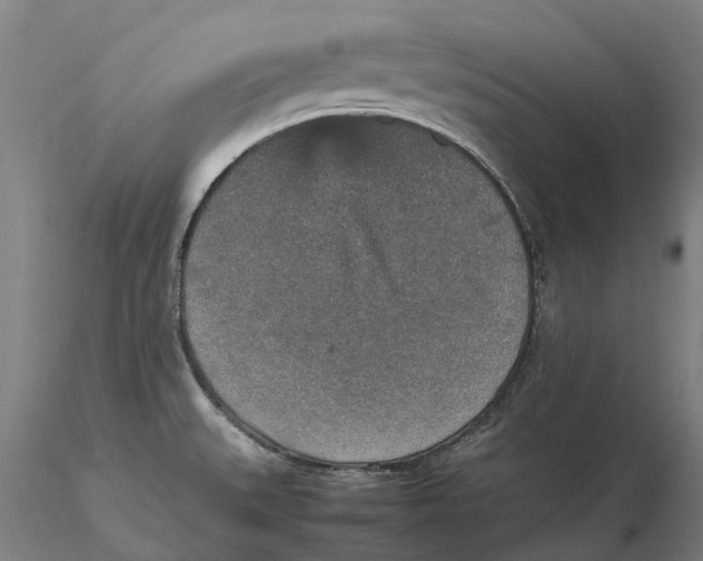 X0000115581527200912011427