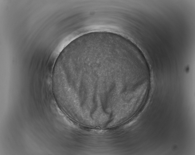 X0000115581529200912011427