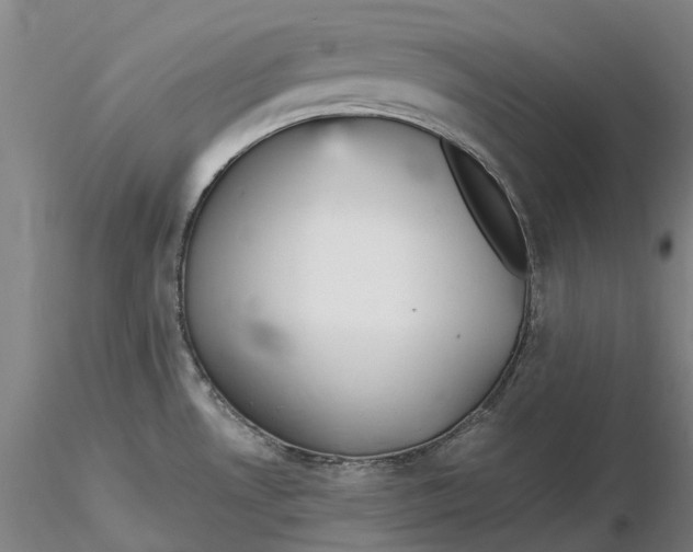 X0000115581530200912011427