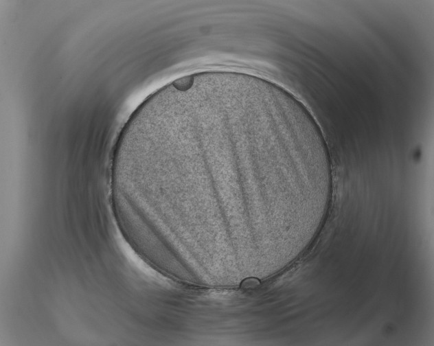 X0000115581531200912011427