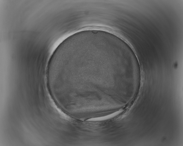 X0000115581533200912011427