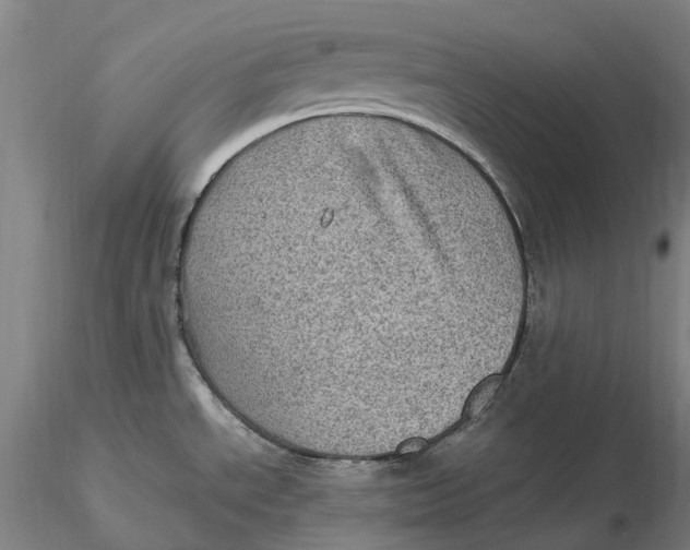 X0000115581534200912011427