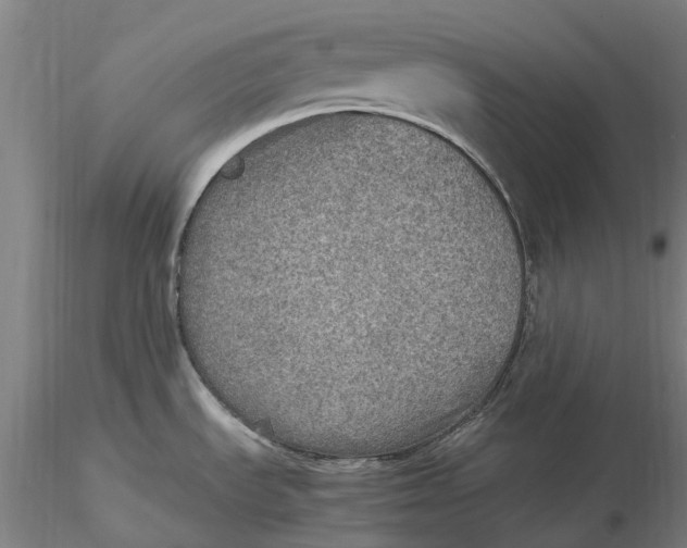 X0000115581535200912011427